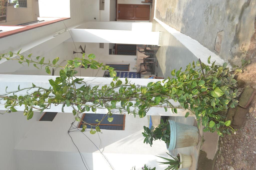 Mount Valley Mama Cottage Rishīkesh Exterior foto